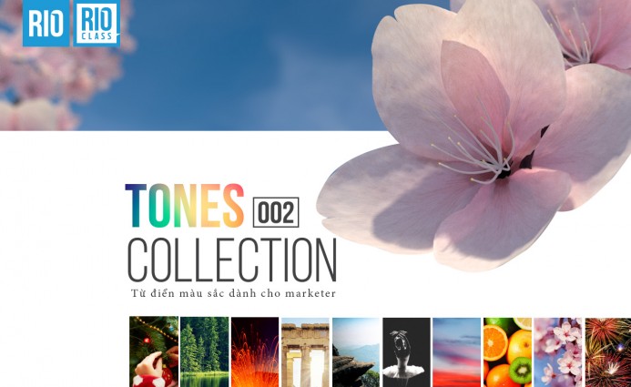 TONES Collection - Từ điển màu sắc dành cho Marketer